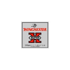 Winchester Super-X 307 Winchester 180GR PP 20rds